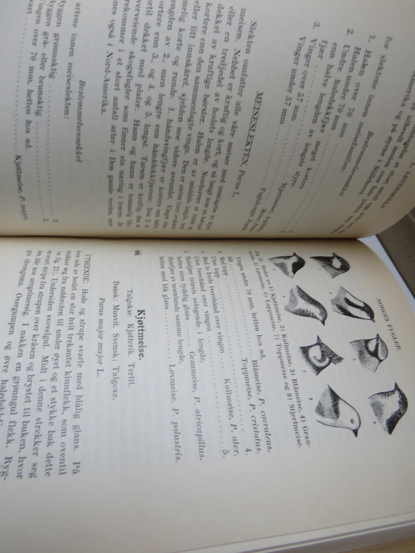 Handbok Over Norges Fugler By Herman L. Lovenskiold 1947