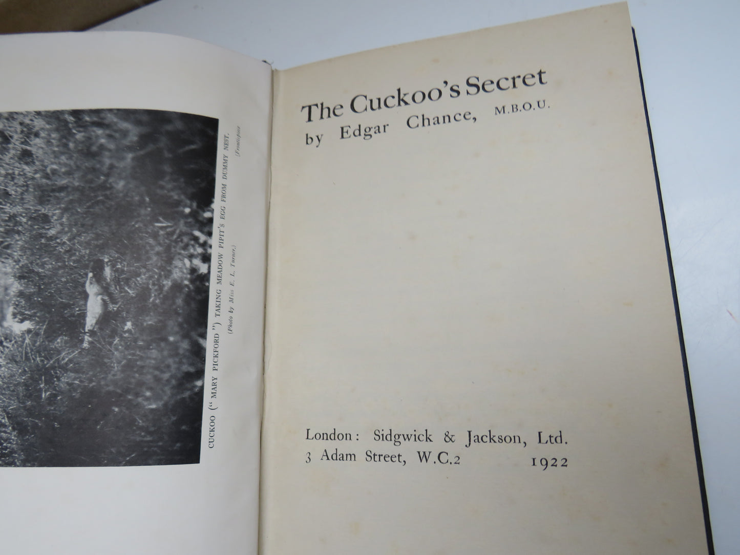 The Cuckoo's Secret By Edgar Chance 1922