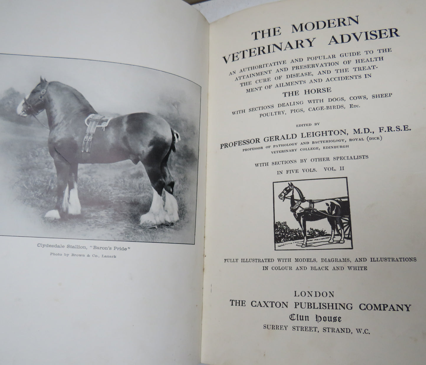 The Modern Veterinary Adviser The Horse Edited By Professor Gerald Leighton Vol II