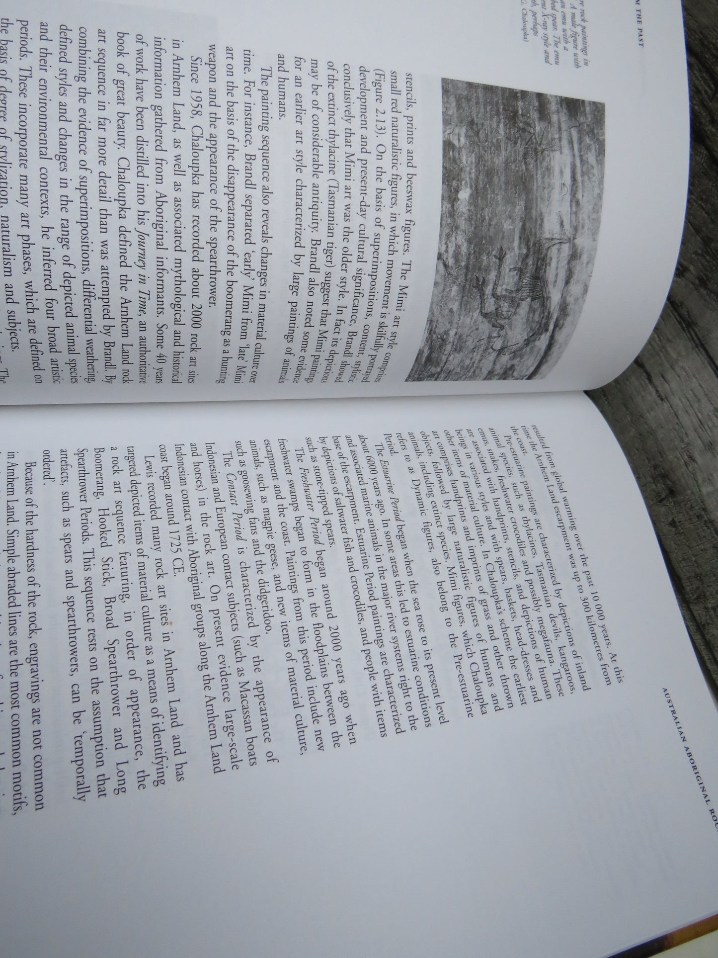 Visions from the Past by M. J. Morwood, 2002