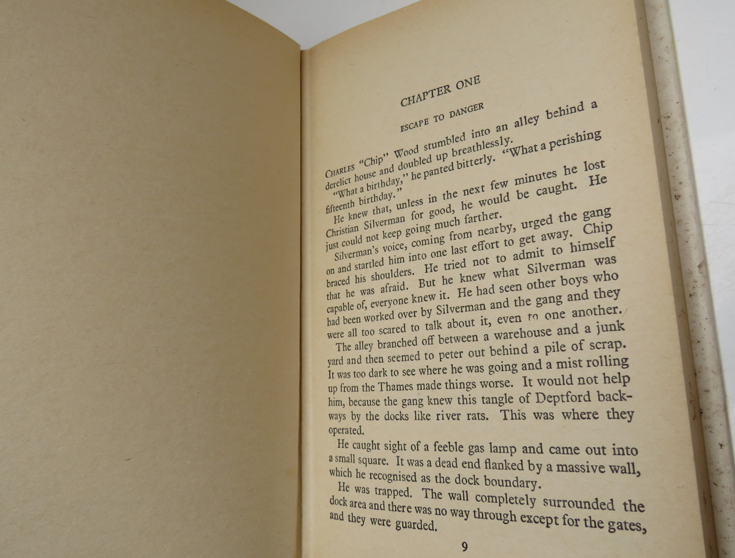 Flashing Mountain By Edwin Johnson 1966