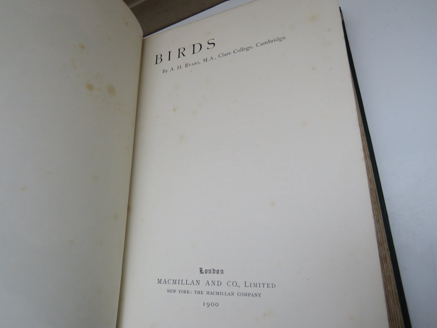 Birds By A.H. Evans M.A. Clare College Cambridge 1900