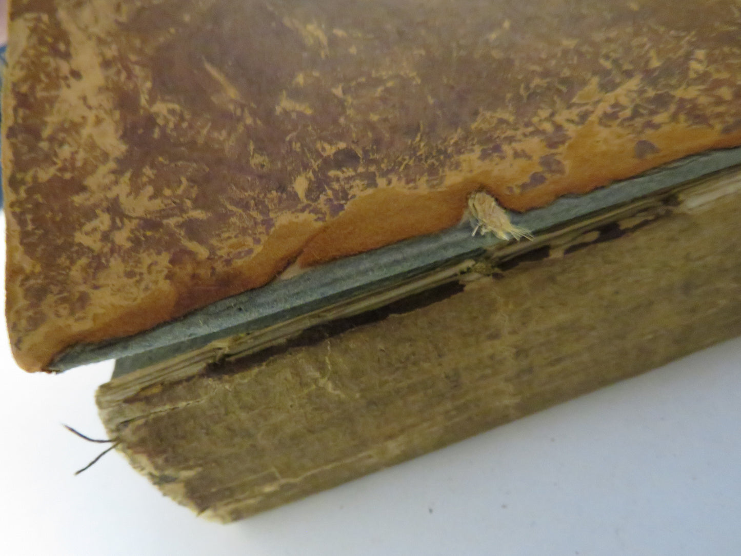 A History of the Political Life Of The Right Honourable William Pitt By John Gifford Vol IV 1809