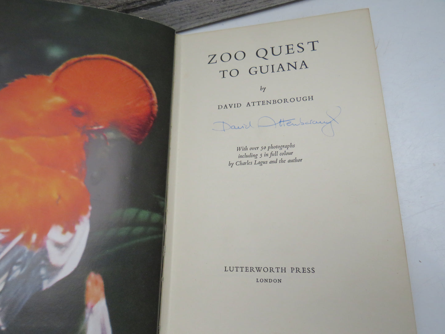 Zoo Quest to Guiana by David Attenborough (Signed Travel Book, 1956)