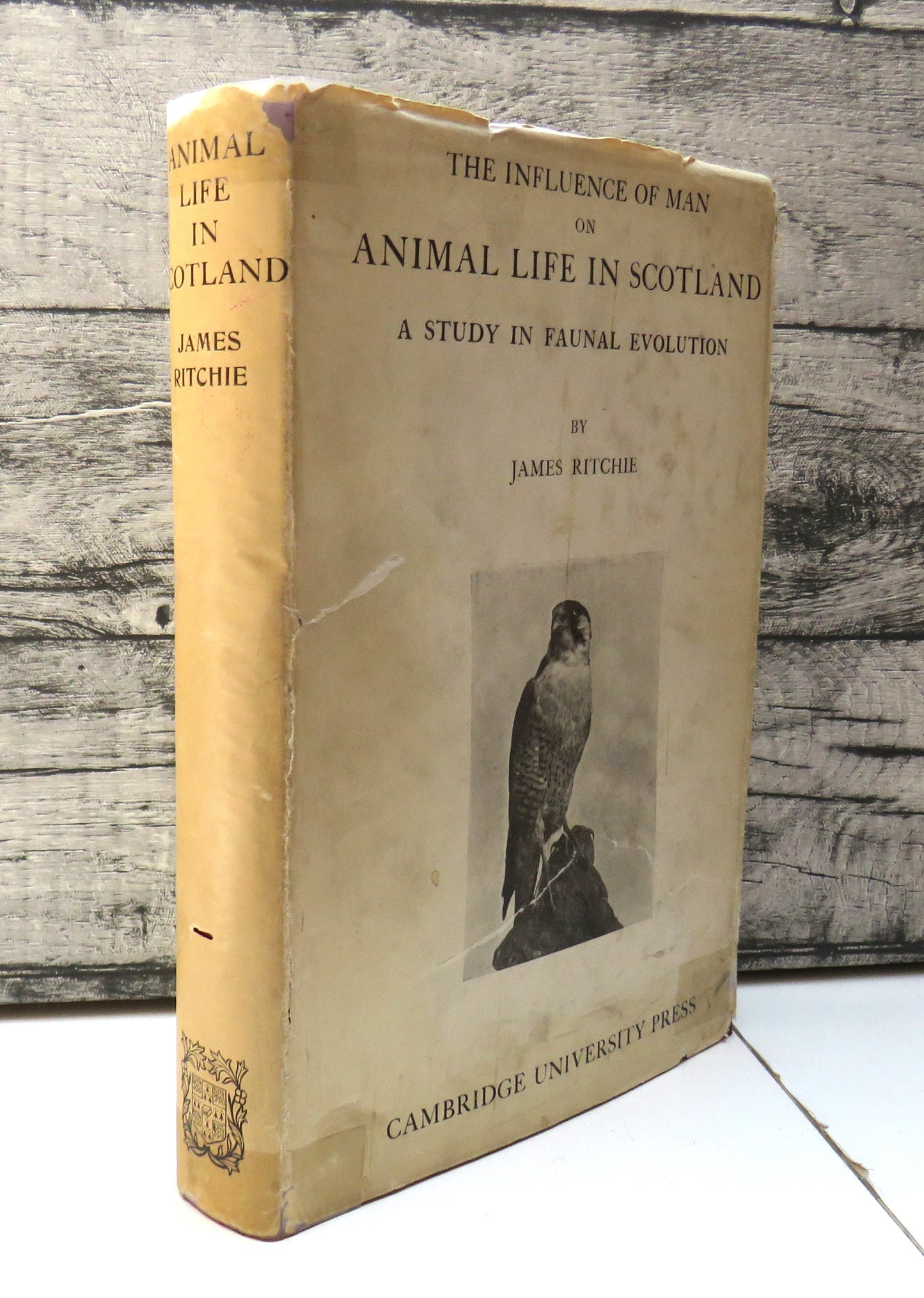 The Influence of Man On Animal Life In Scotland A Study In Faunal Evolution By James Ritchie 1920