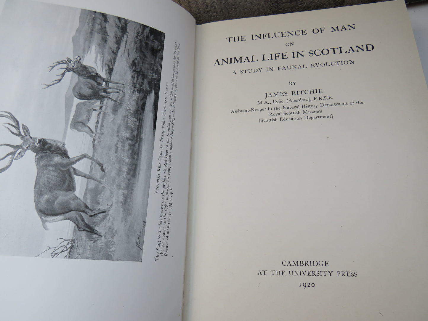 The Influence of Man On Animal Life In Scotland A Study In Faunal Evolution By James Ritchie 1920