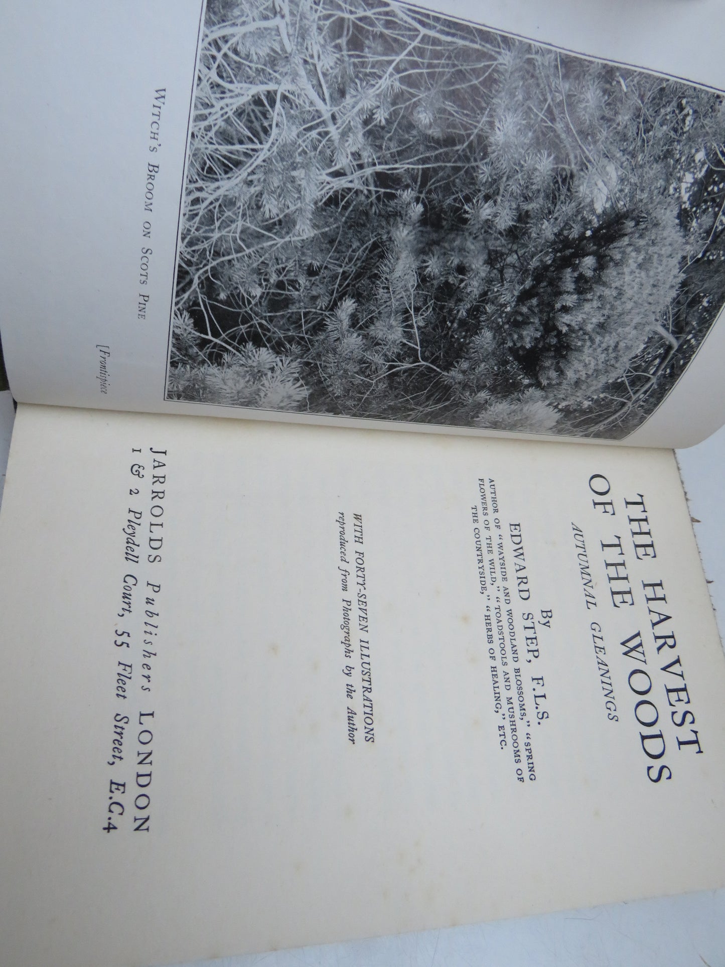 The Harvest of the Woods by Edward Step (Nature Book)