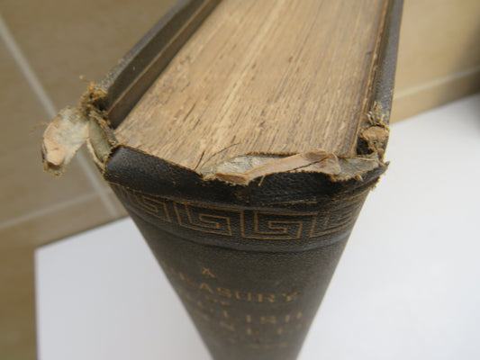 A Treasury Of English Sonnets By David M. Main 1880