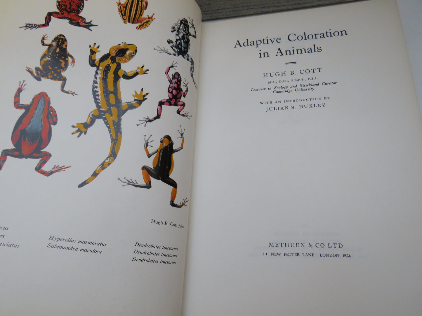 Adaptive Coloration In Animals by Hugh B. Cott (Science Book, 1966)