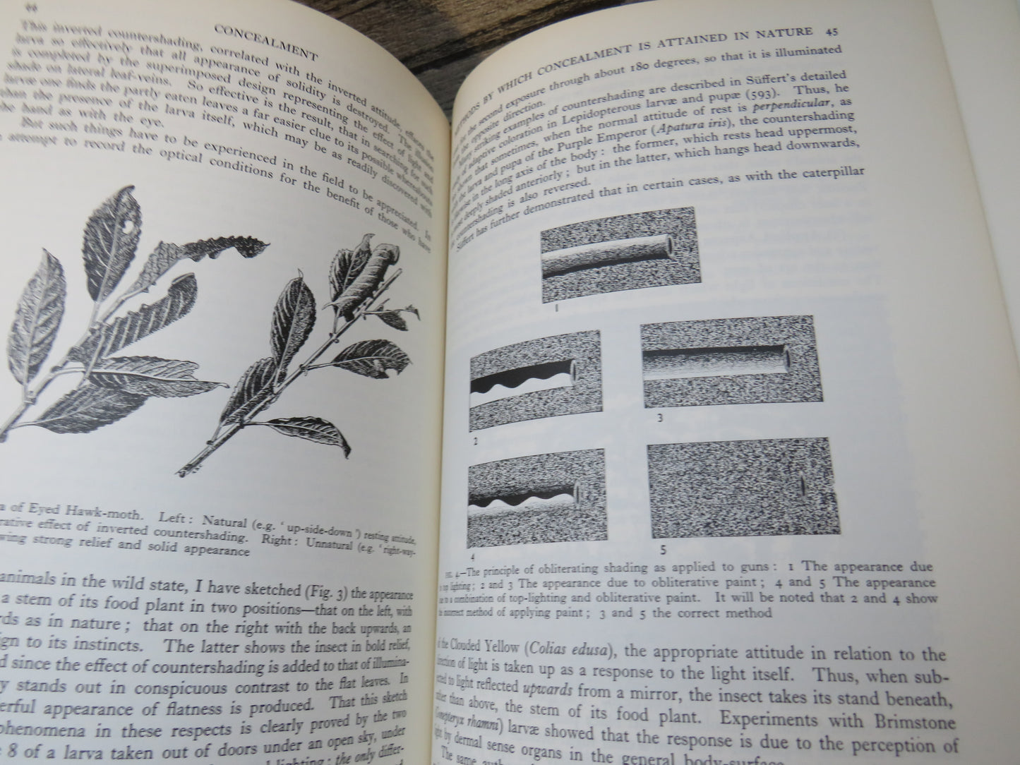 Adaptive Coloration In Animals by Hugh B. Cott (Science Book, 1966)