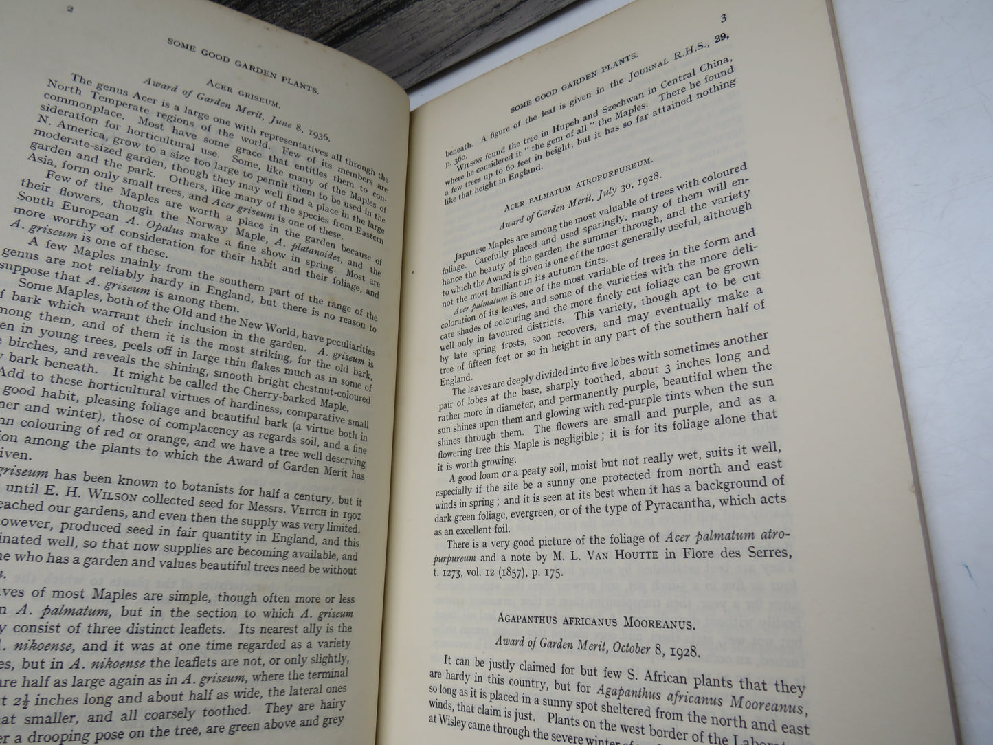 Some Good Garden Plants by F. J. Chittenden, 1938, Vintage Gardening Book