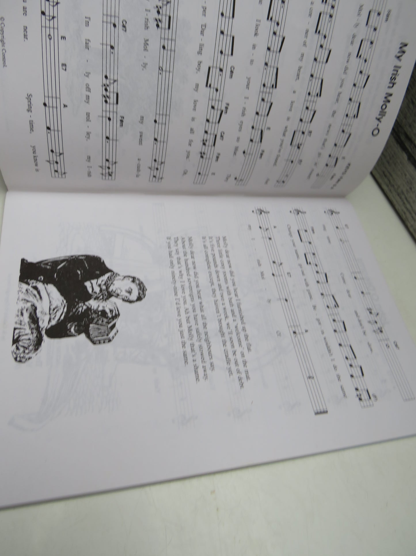 Folksongs & Ballads Popular in Ireland, Volume 4 by John Loesberg (Music Book, 1989)