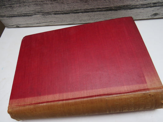 Celtic Art In Pagan and Christian Times By J. Romilly Allen 1904