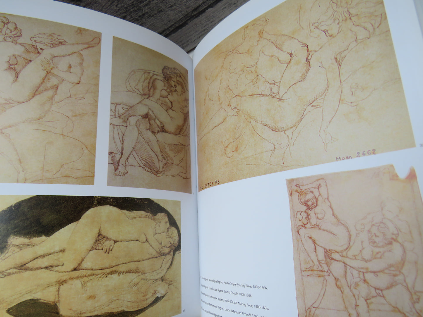 1000 Erotic Works of Genius 2008