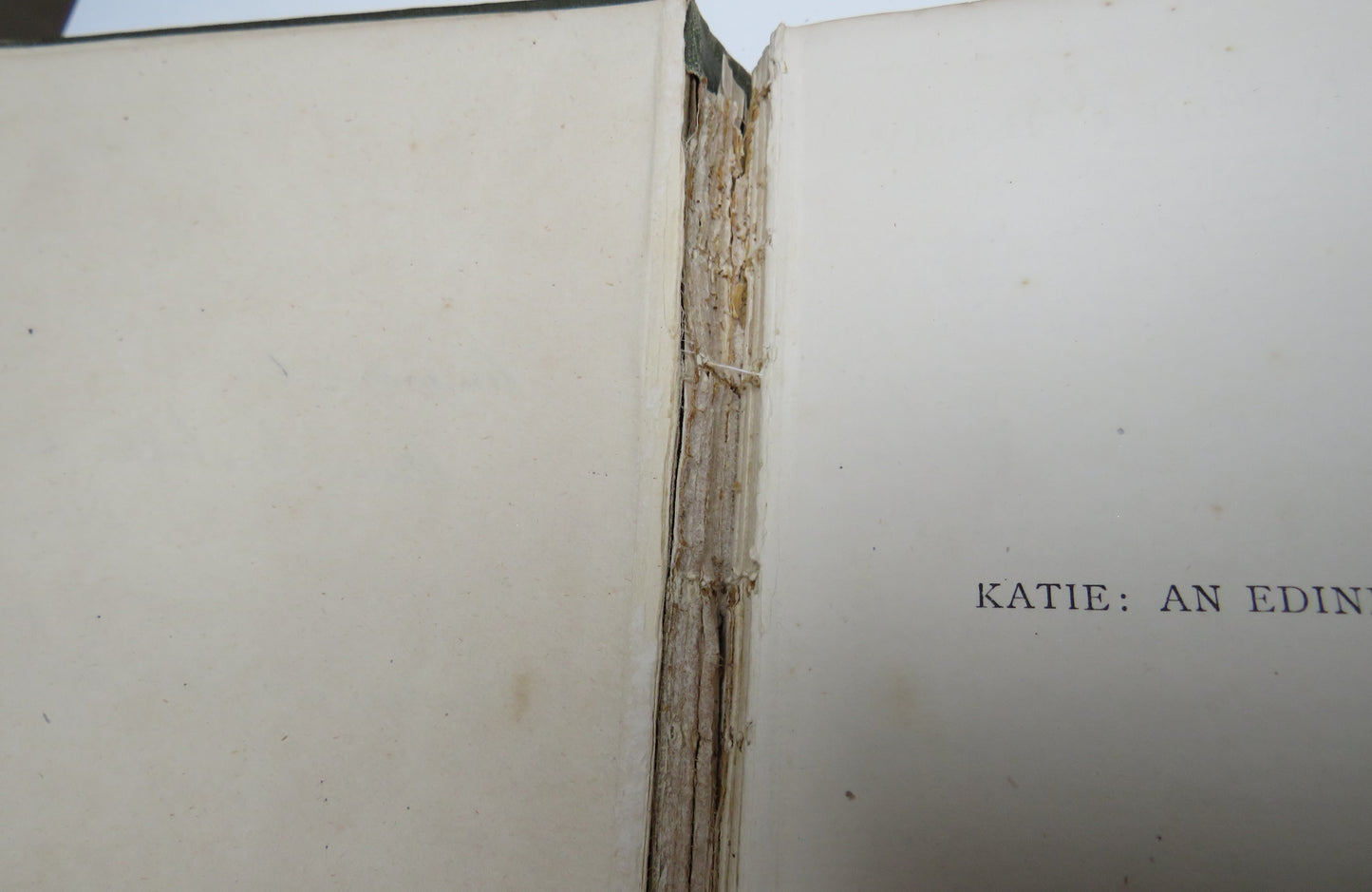 Katie: An Edinburgh Lassie By Robina F. Hardy 1886