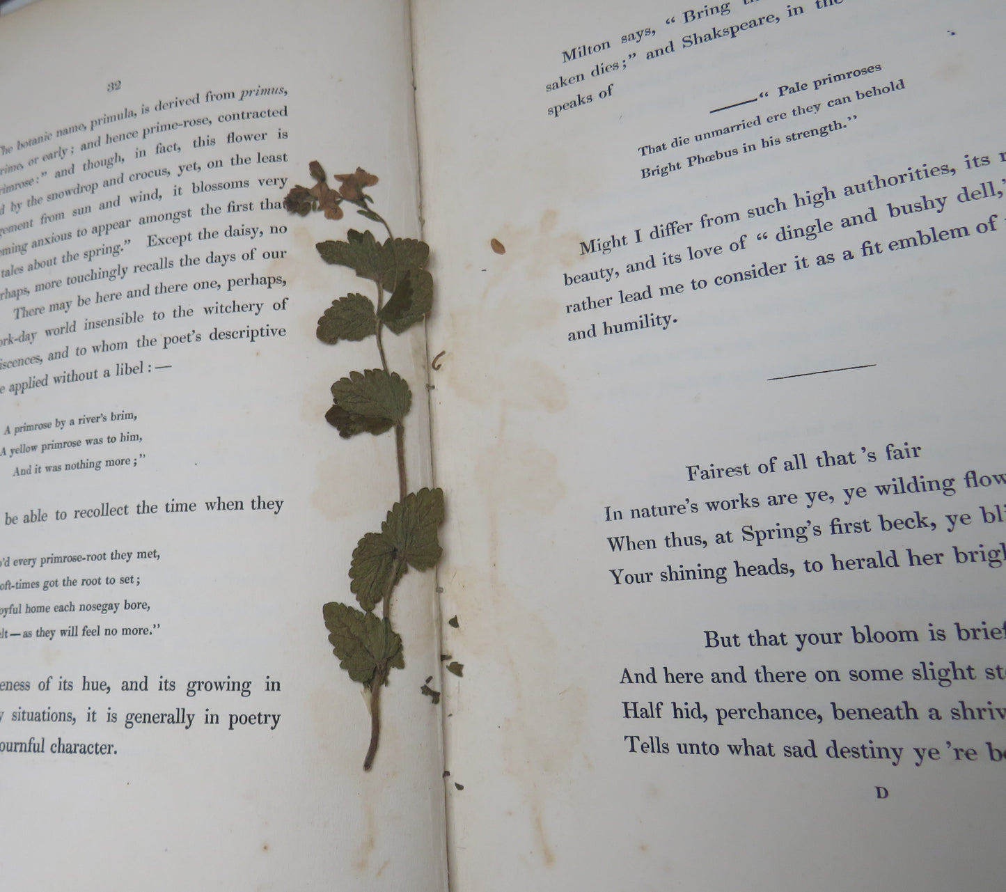 The Moral of Flowers Illustrated By Coloured Engravings 1835