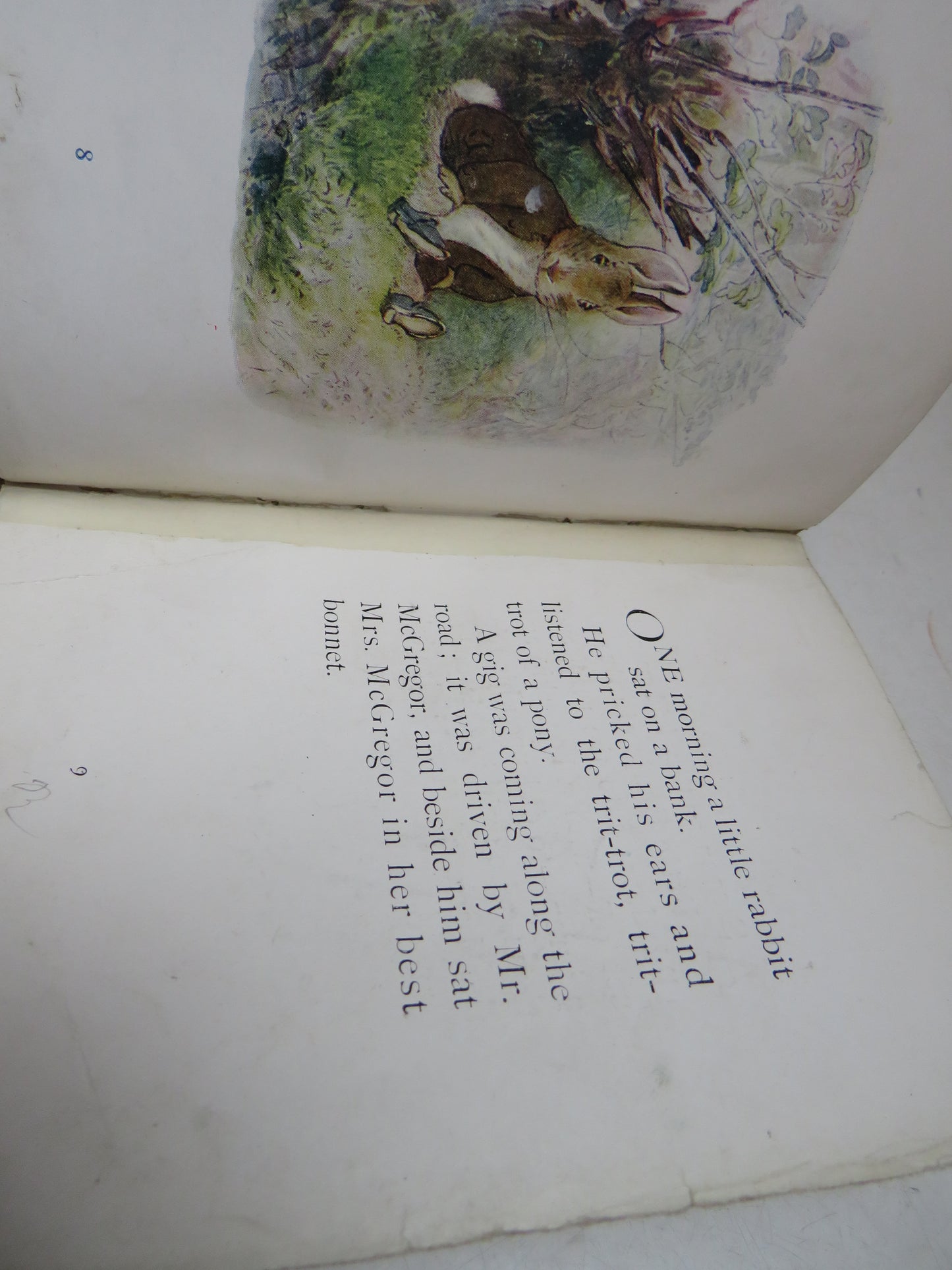 The Tale of Benjamin Bunny by Beatrix Potter, 1904, First Edition