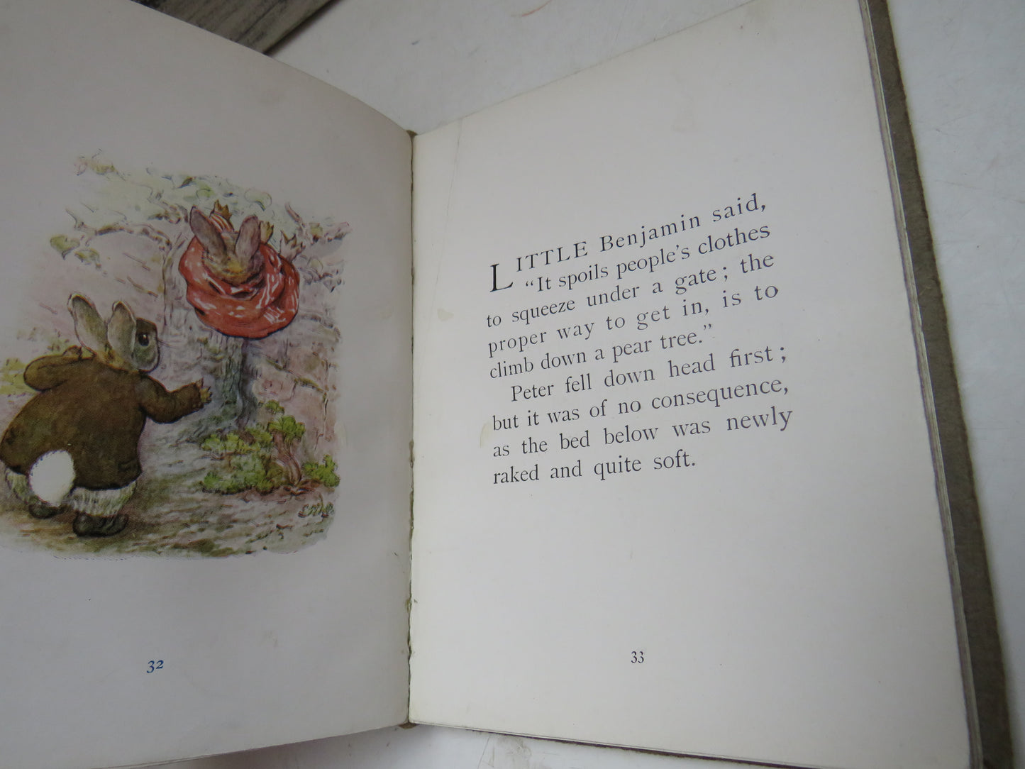 The Tale of Benjamin Bunny by Beatrix Potter, 1904, First Edition