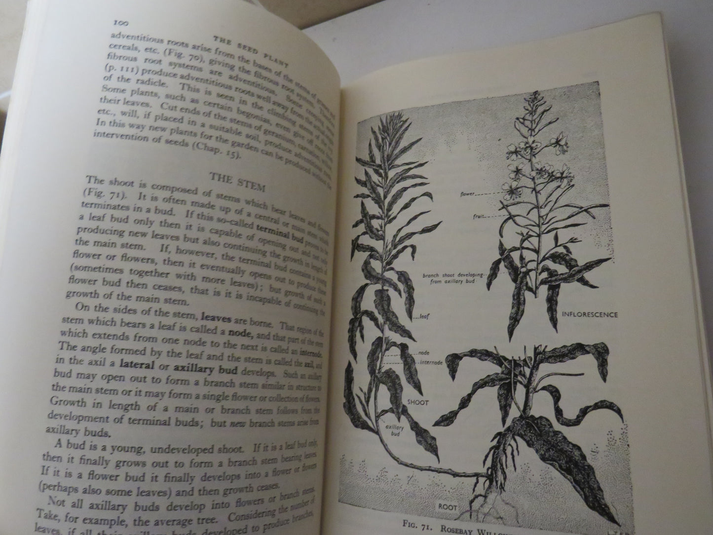 A School Course of Biology, with Suggestions for Experimental and Field Work by L. J. F. Brimble, 1961