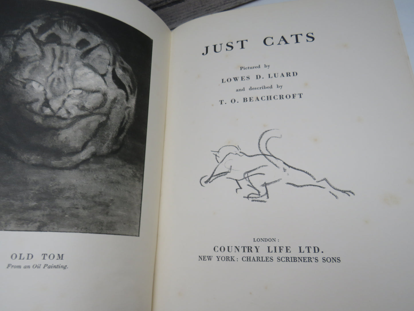 Just Cats Pictured By Lowes D. Luard and Described By T. O. Beachcroft 1936 1st Edition