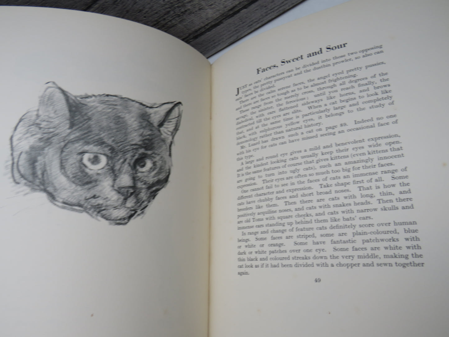 Just Cats Pictured By Lowes D. Luard and Described By T. O. Beachcroft 1936 1st Edition