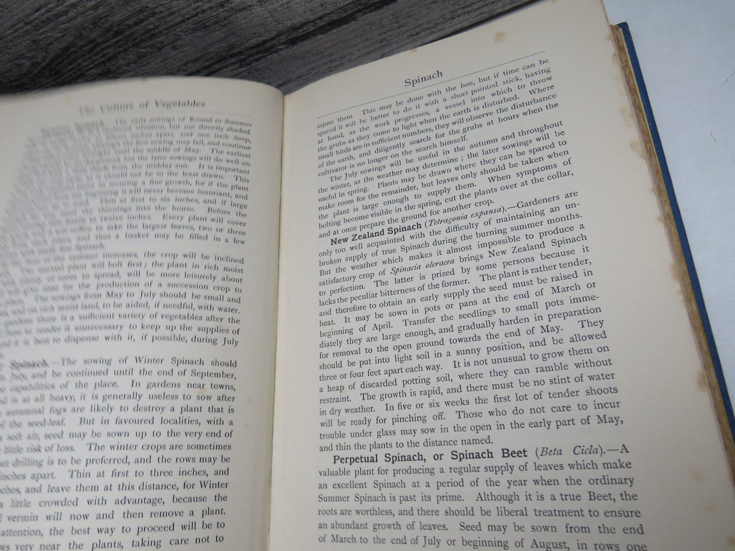 The Culture of Vegetables and Flowers From Seeds and Roots By Sutton and Sons Reading 1926
