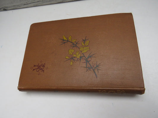 Three Sixteenth Century Sketches By Sarah Brook