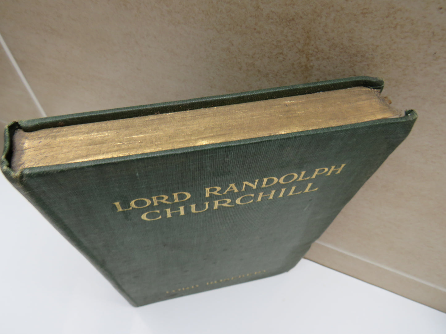 Lord Randolph Churchill By Lord Rosebery 1906