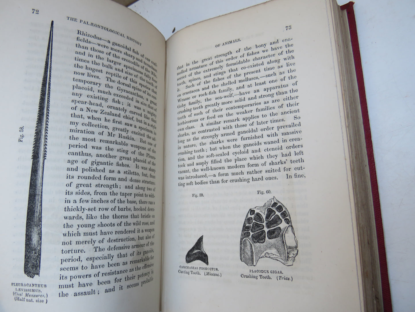The Testimony Of The Rocks; Or Geology In Its Bearings On The Two Theologies, Natural and Revealed By Hugh Miller 1857