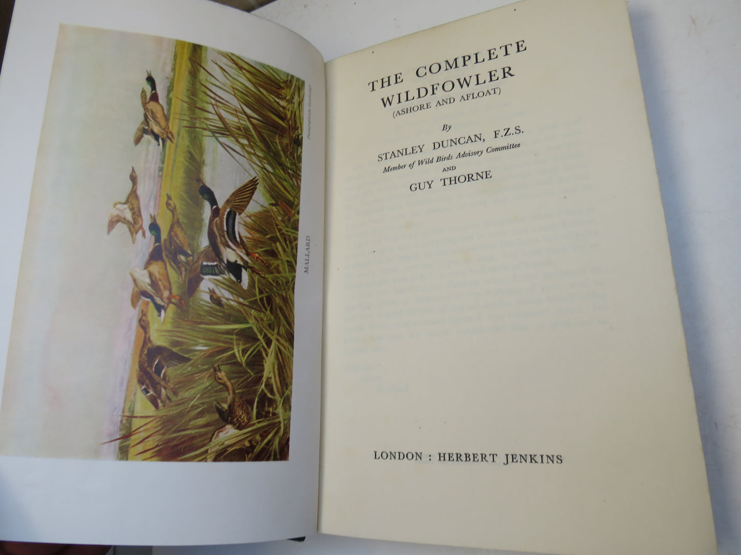 The Complete Wildflower (Ashore and Afloat) By Stanley Duncan and Guy Thorne 1950