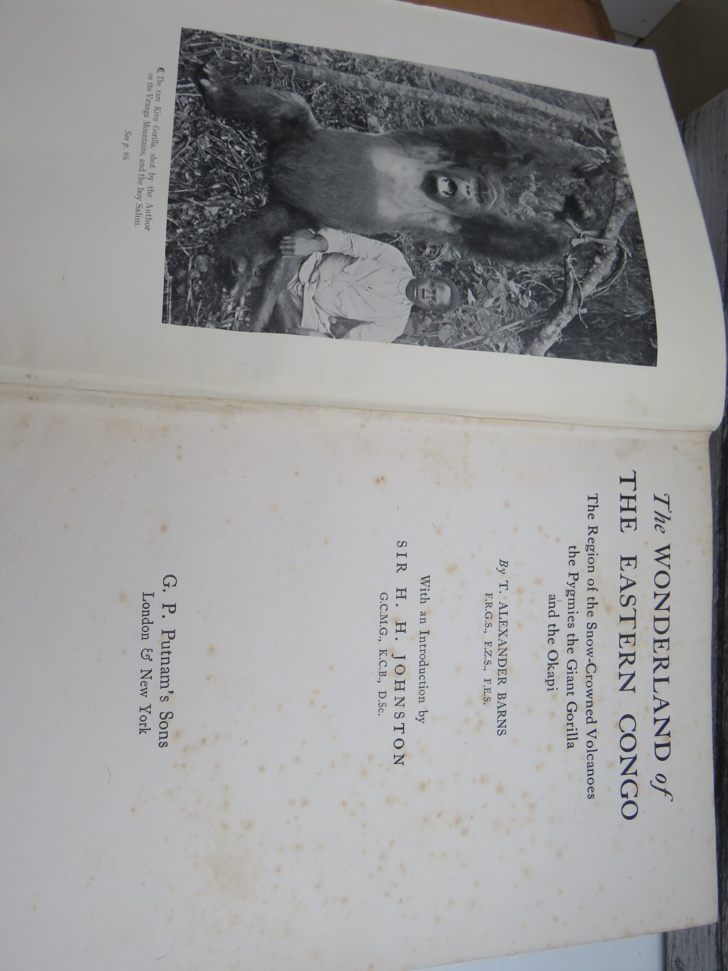 The Wonderland Of The Eastern Congo By T. Alexander Barns 1922