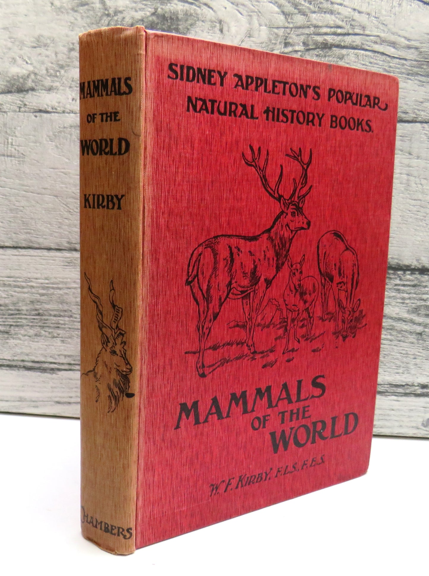 Mammals Of The World By W. F. Kirby 1907