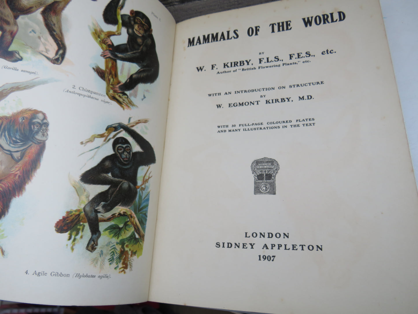 Mammals Of The World By W. F. Kirby 1907