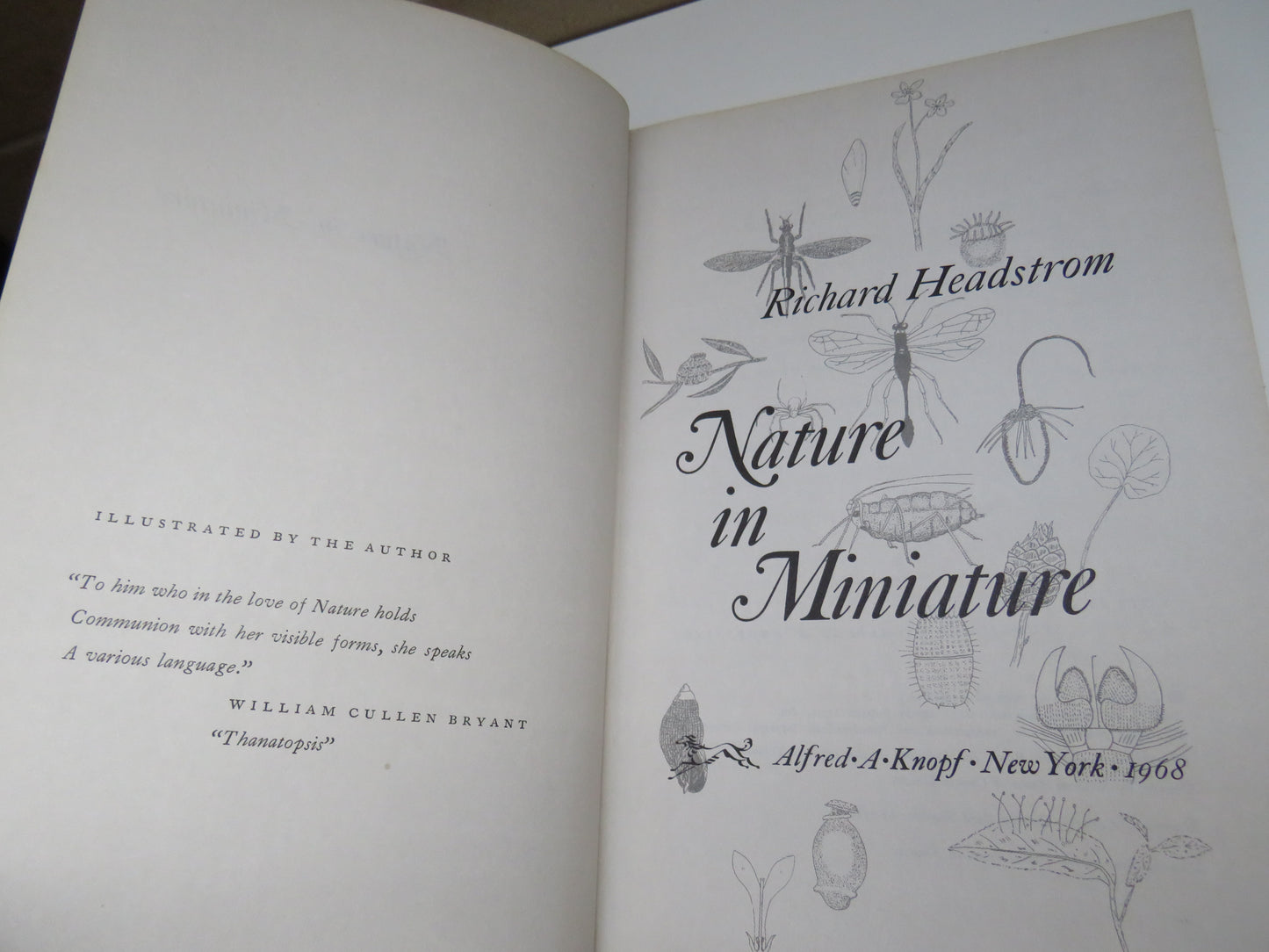 Nature In Miniature By Richard Headstrom 1968