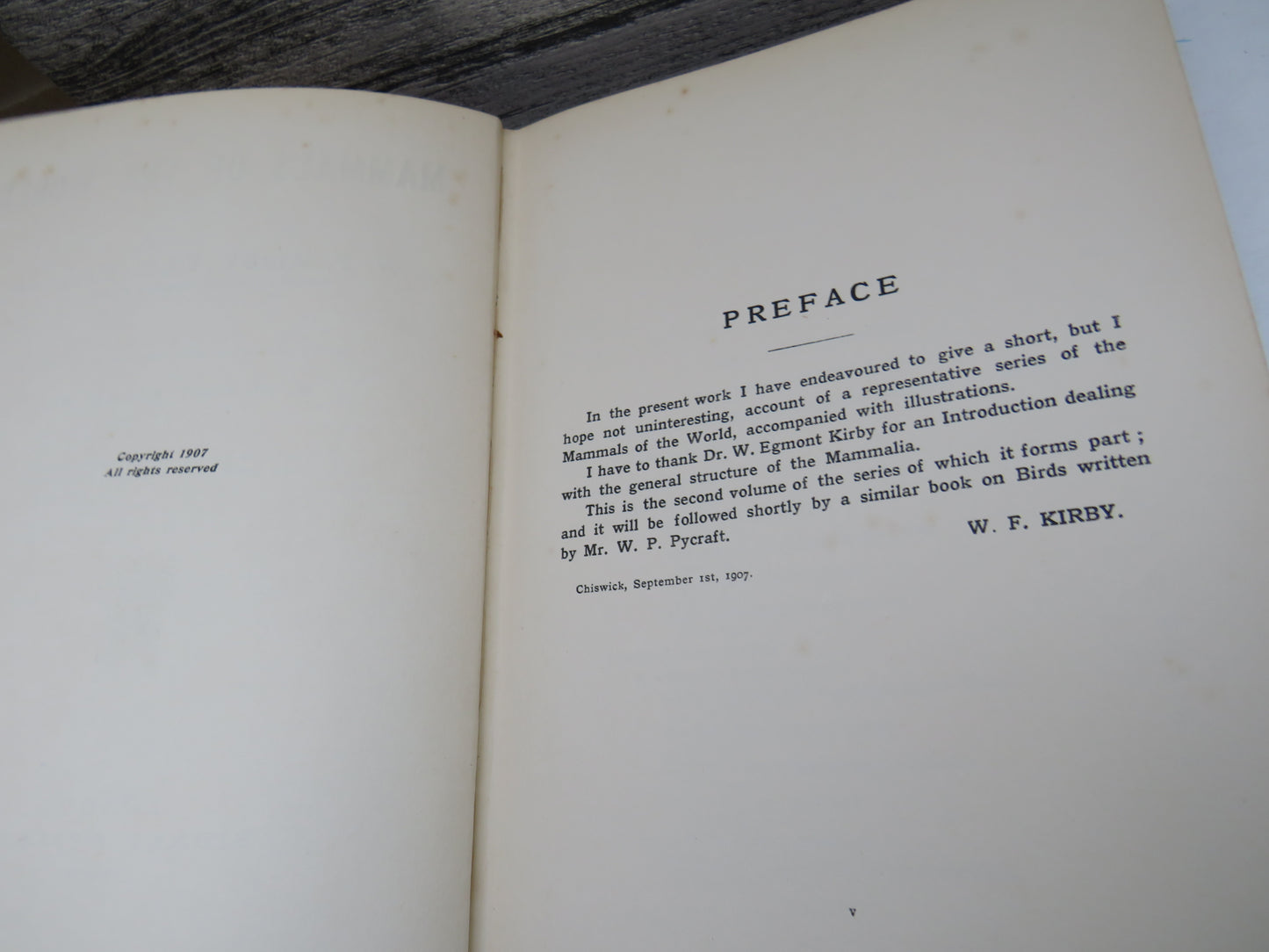 Mammals Of The World By W. F. Kirby 1907