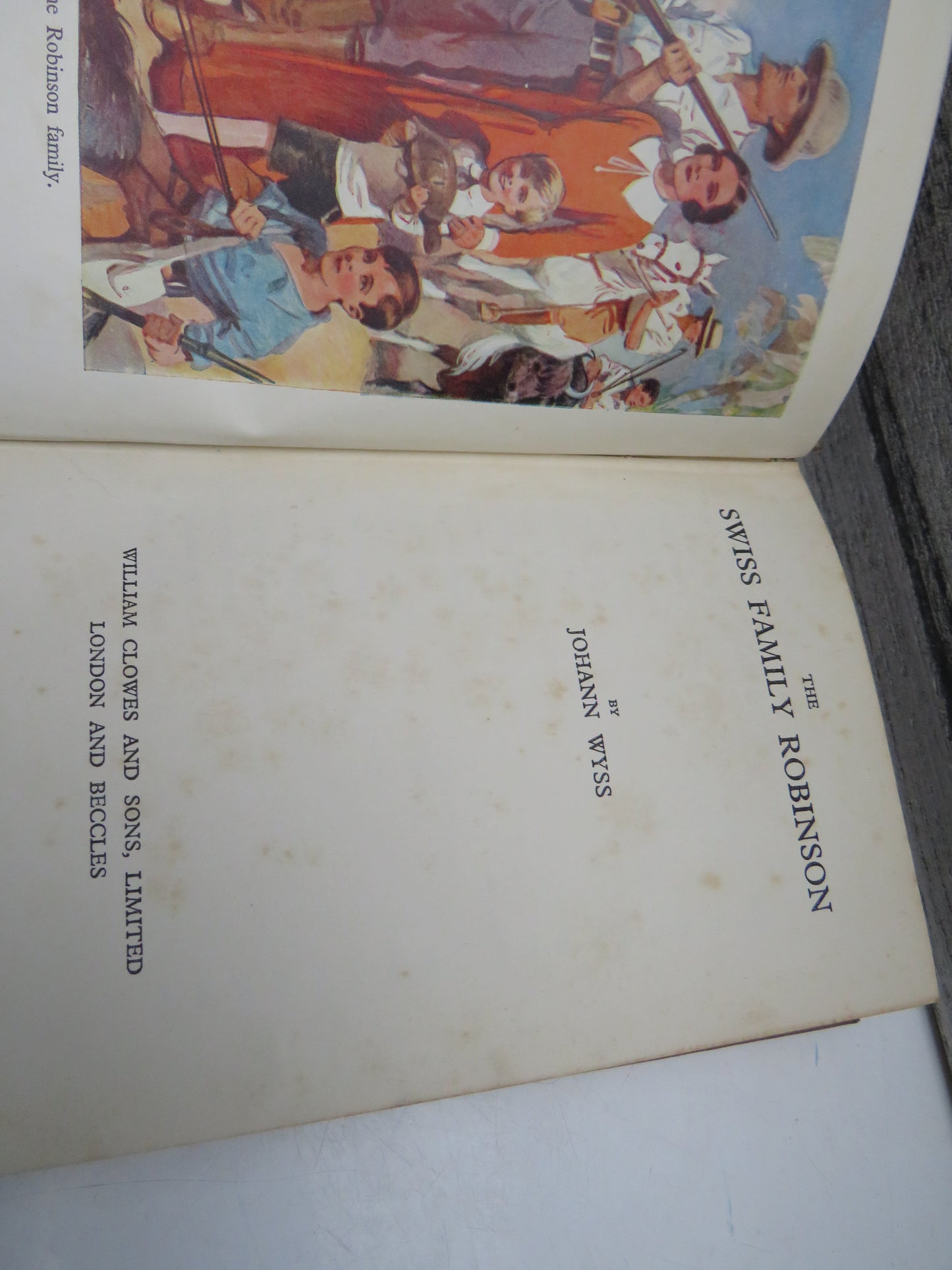 The Swiss Family Robinson By Johann Wyss