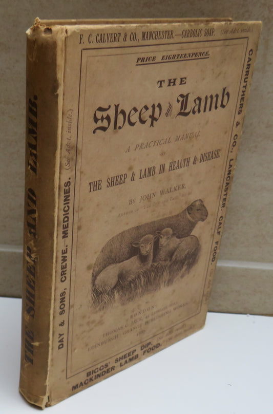 The Sheep and Lamb A Practical Manual On The Sheep and Lamb In Health and Disease By John Walker 1887