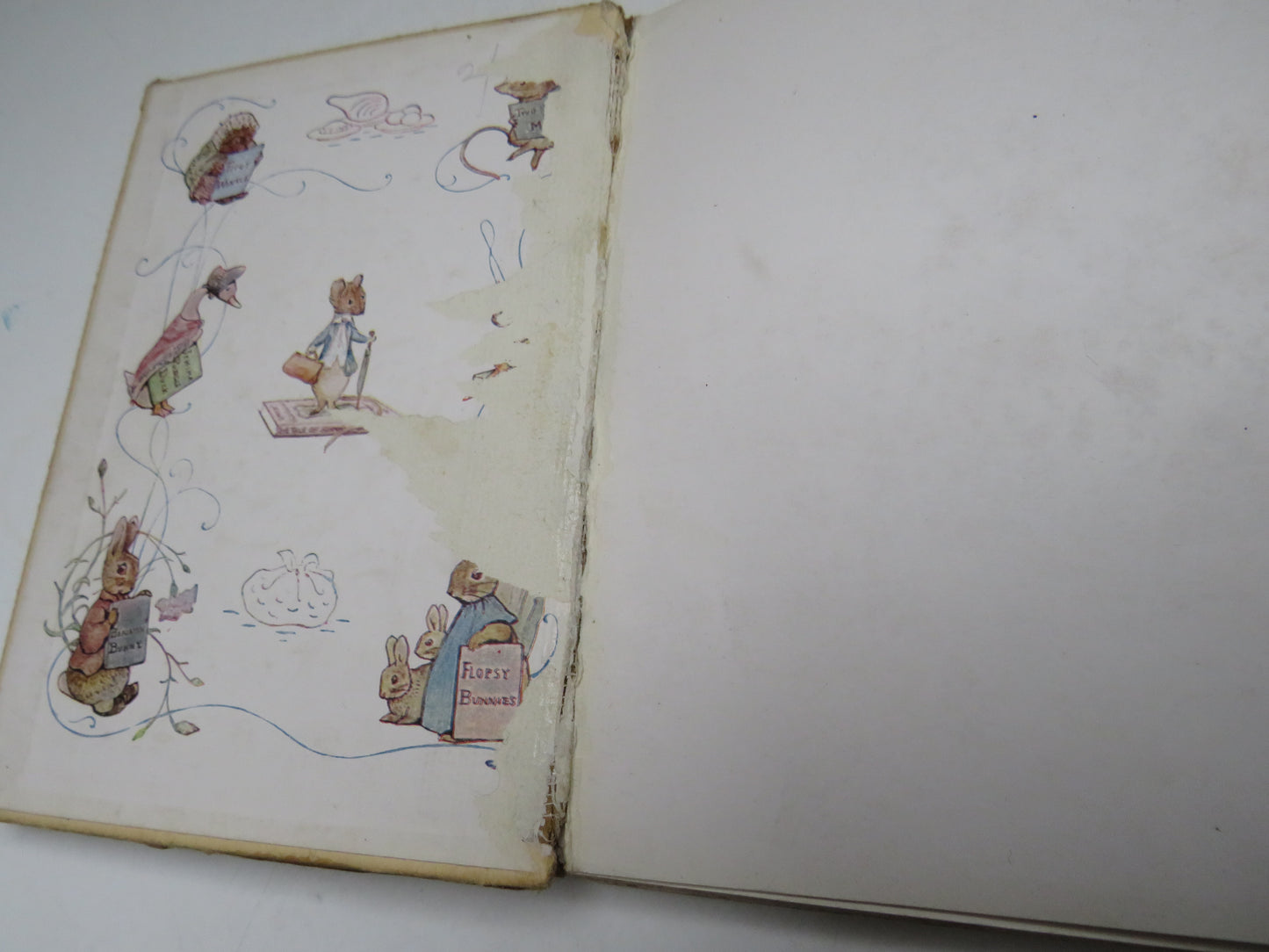 The Tale of Benjamin Bunny by Beatrix Potter, 1904