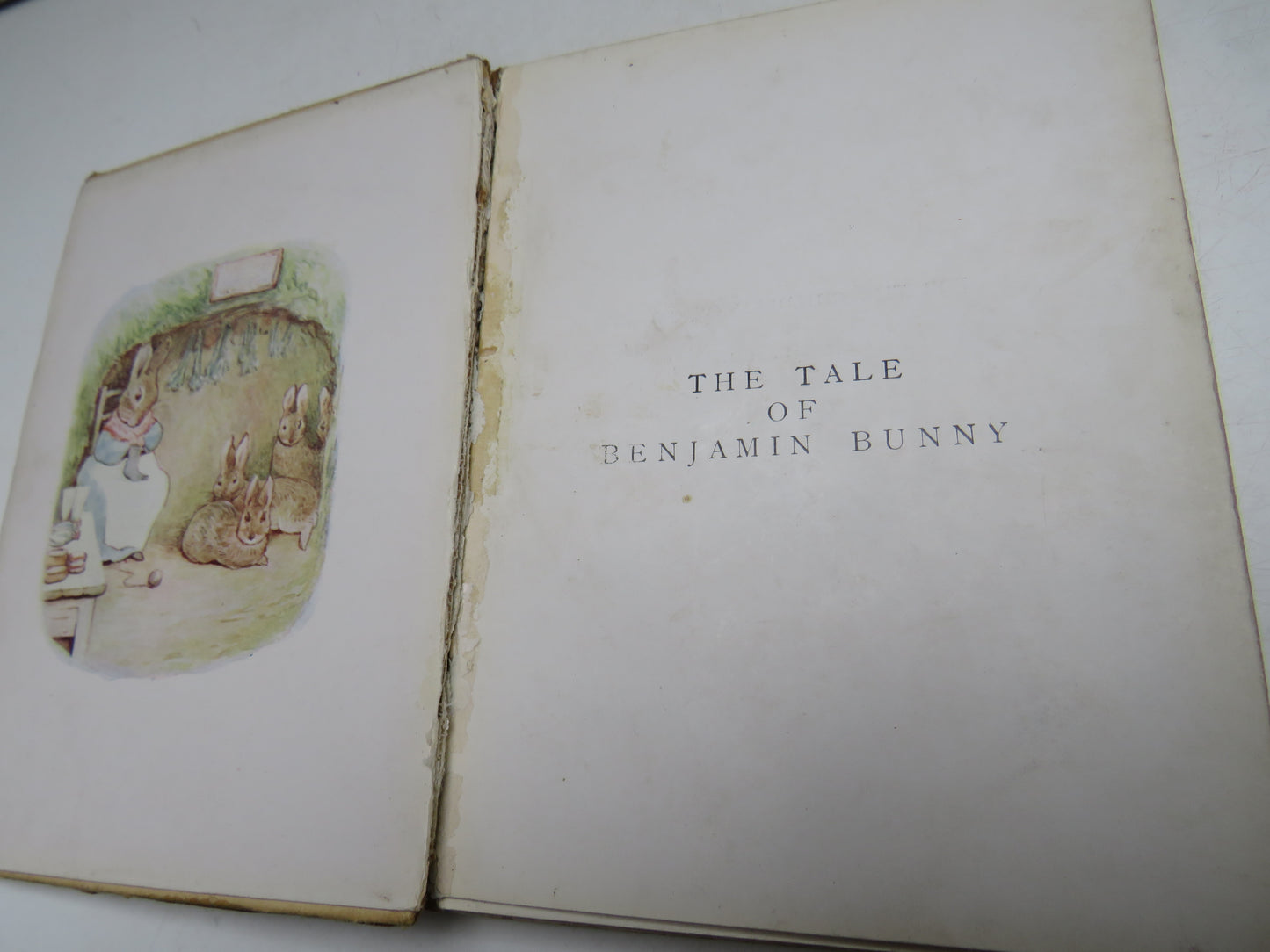 The Tale of Benjamin Bunny by Beatrix Potter, 1904