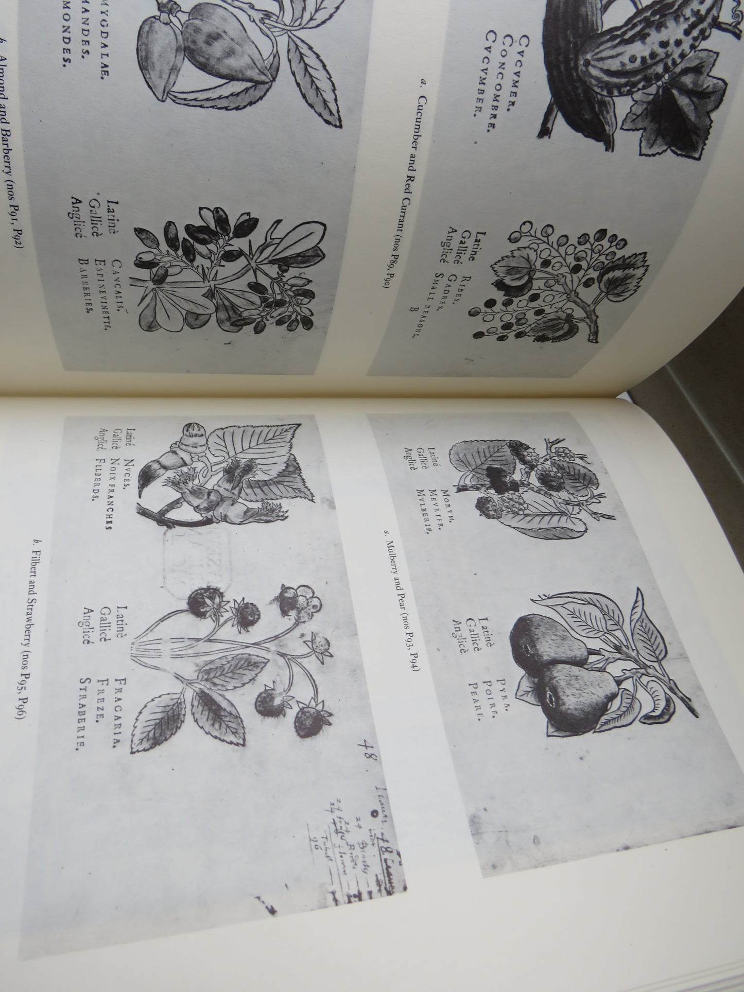 The Work Of Jacques Le Moyne De Morgues By Paul Hulton Vol I & II 1977