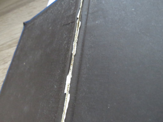 The Vultures By H.S. Merriman 1902