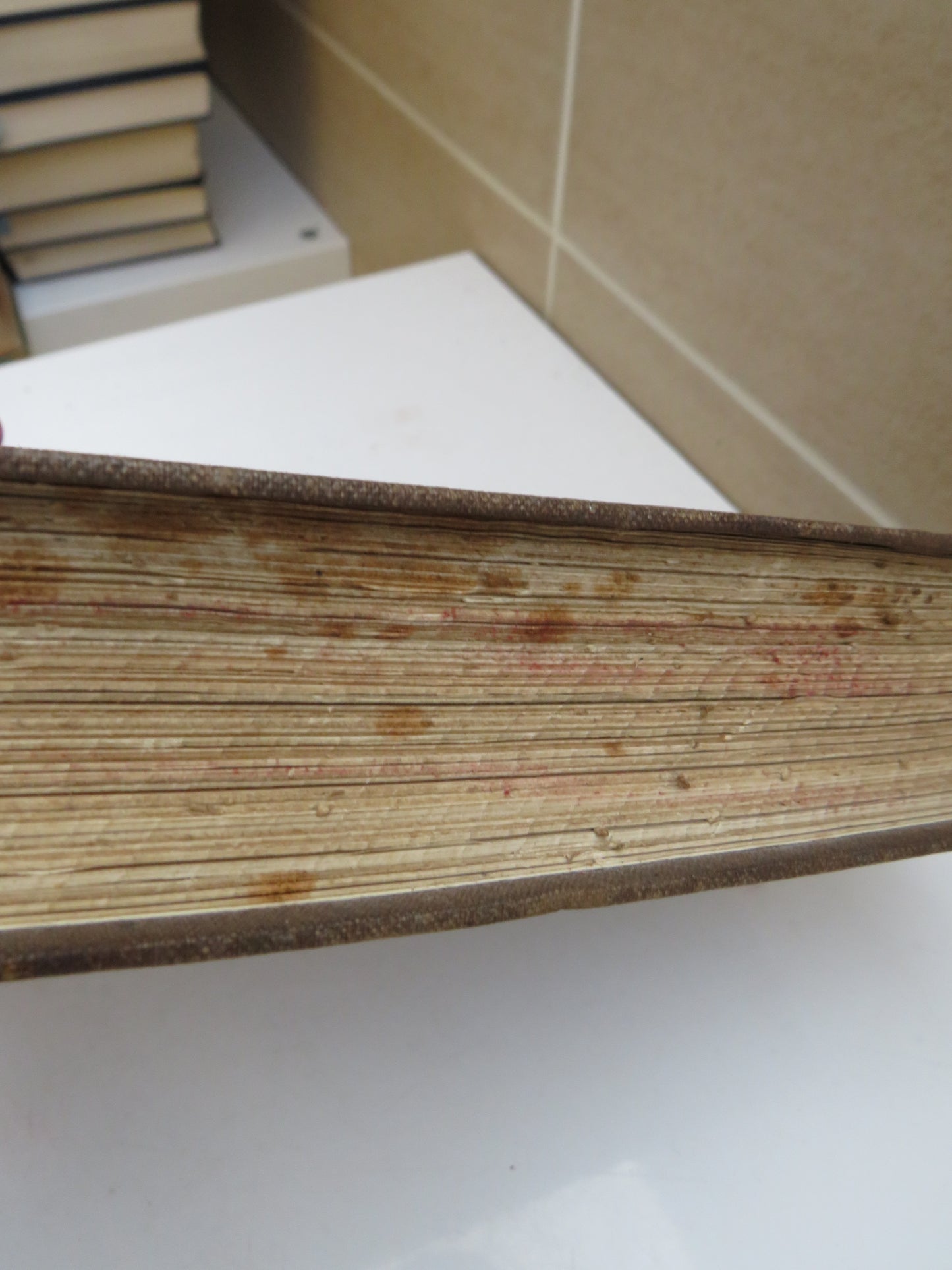A New Method of Learning To Read, Write and Speak A Language in Six Months Adapted To The Spanish For The Use of Schools and Private Teachers By H.G. Ollendorff 1867