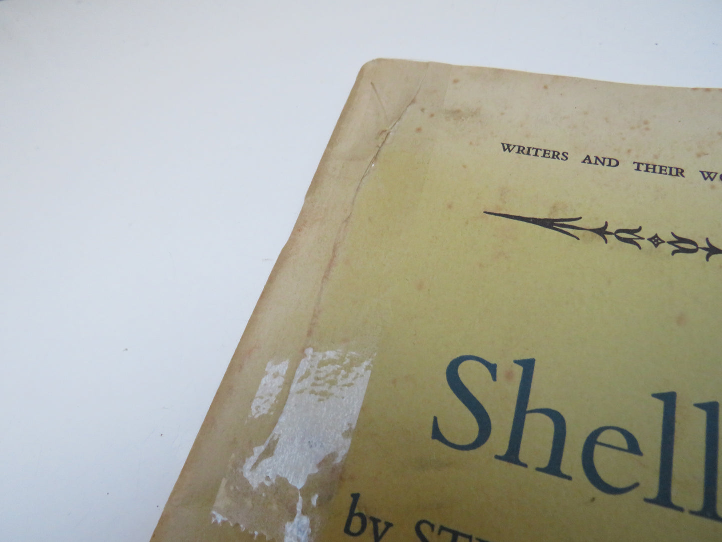 Shelley By Stephen Spender 1960