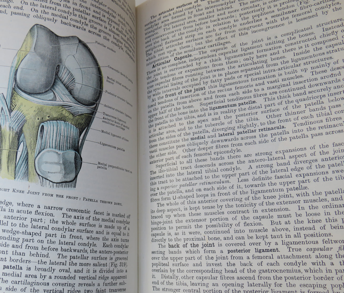Cunningham's Text-Book Of Anatomy Edited By J.C.Brash and E.B Jamieson 1943
