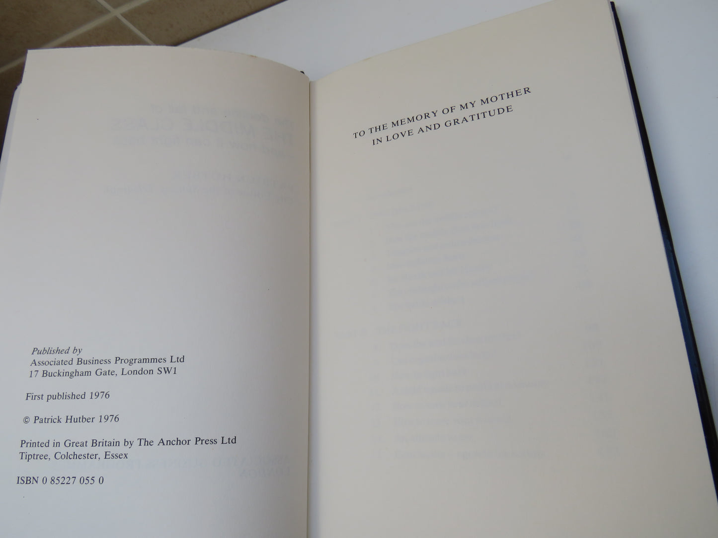 The Decline and Fall of The Middle Class and How It Can Fight Back By Patrick Hutber 1976