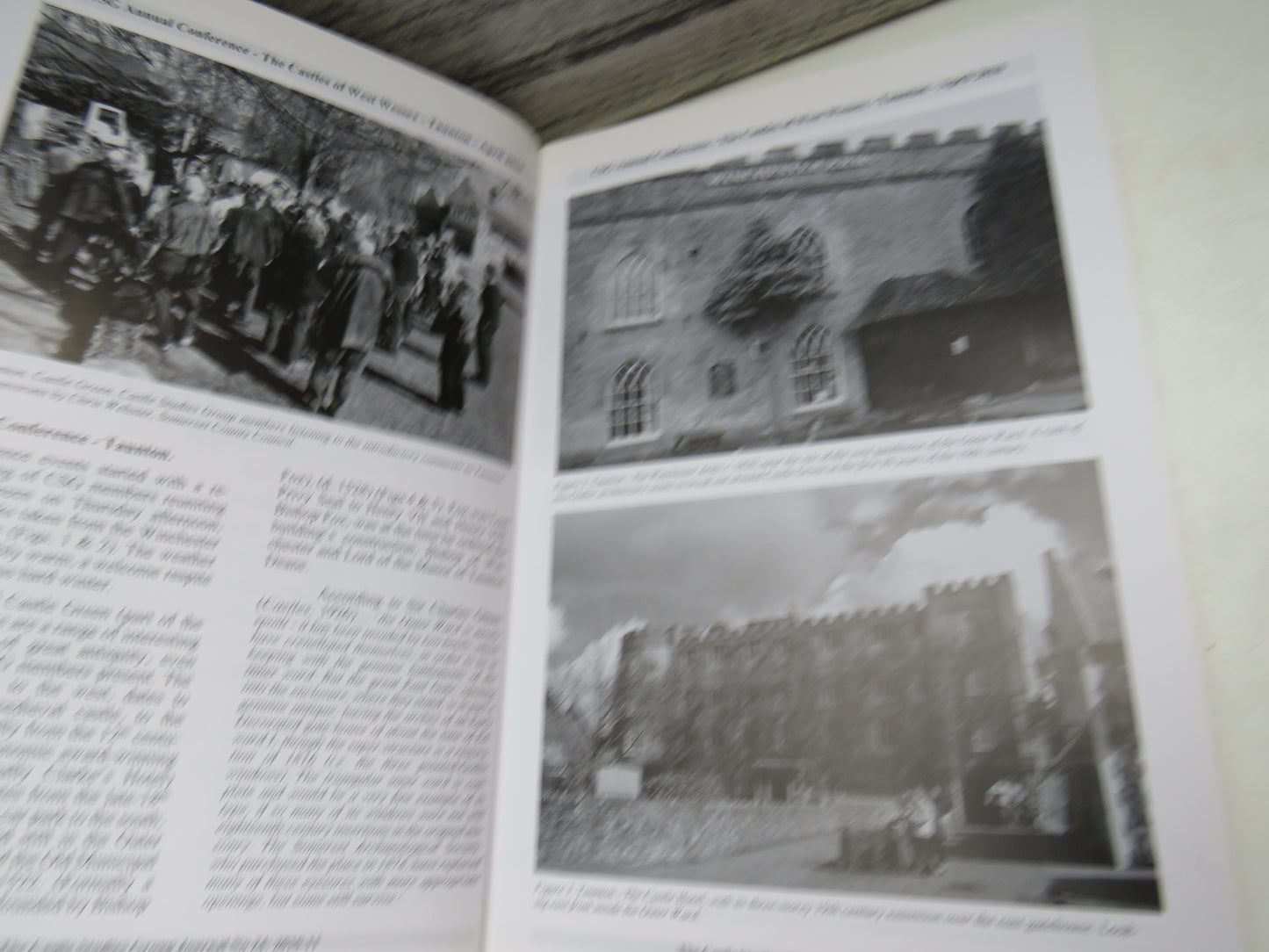 The Castle Studies Group Journal No 24 2010-11