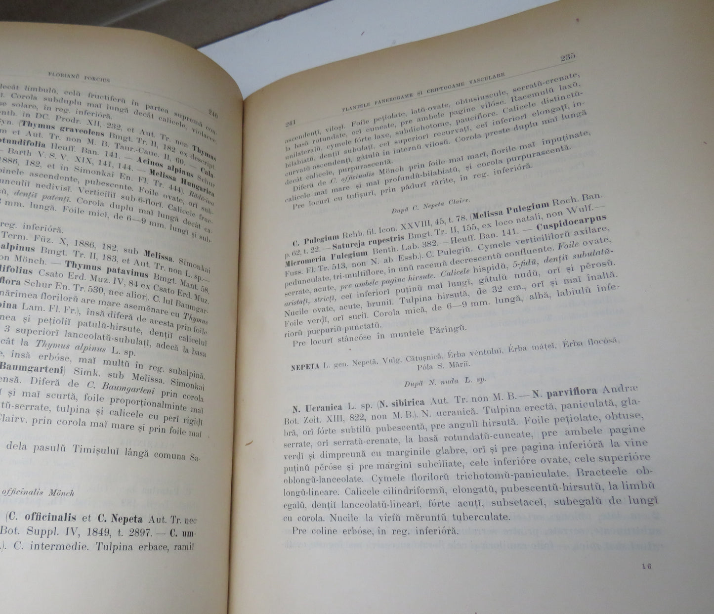 Academia Romana Diagnosele Planteloru Fanerogame Si Criptogame Vasculare 1893