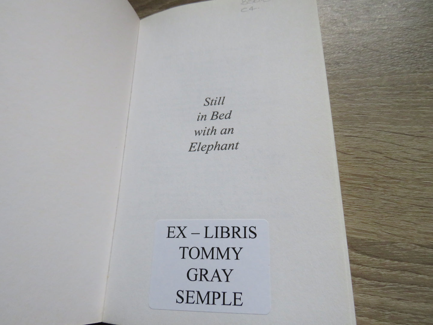 Still In Bed With An Elephant By Paul Henderson Scott 1998