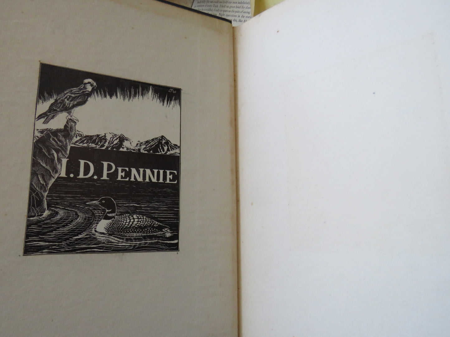 Vertebrate Paleontology by Alfred Sherwood Romer 1936 2nd Impression