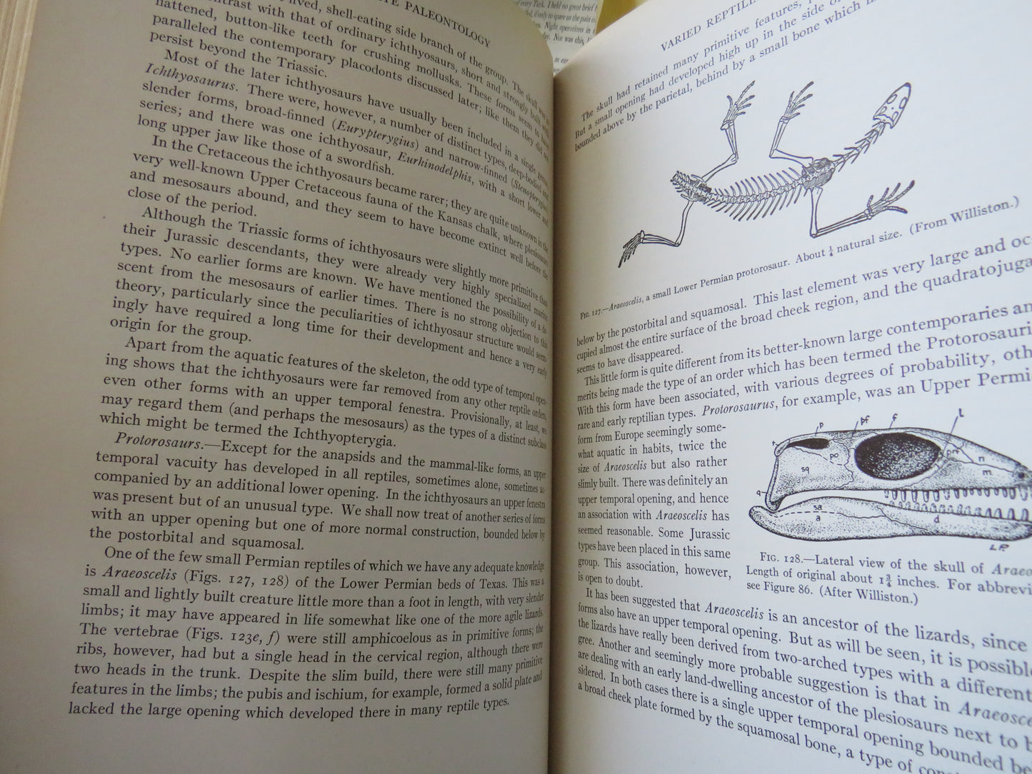 Vertebrate Paleontology by Alfred Sherwood Romer 1936 2nd Impression